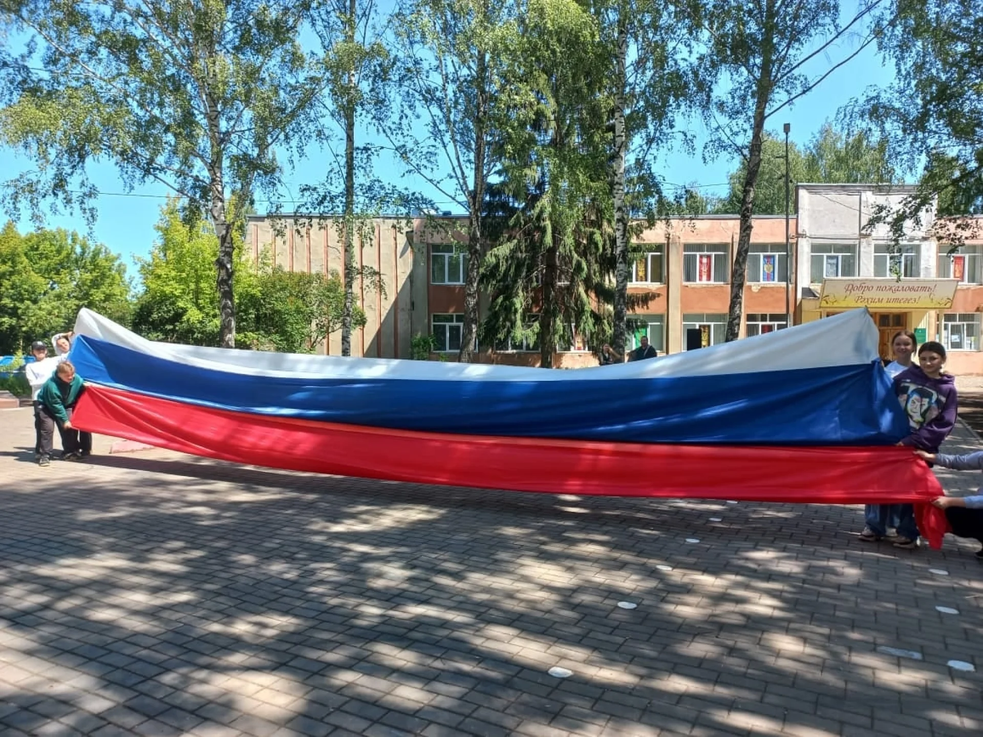 12 осиново1.jpg