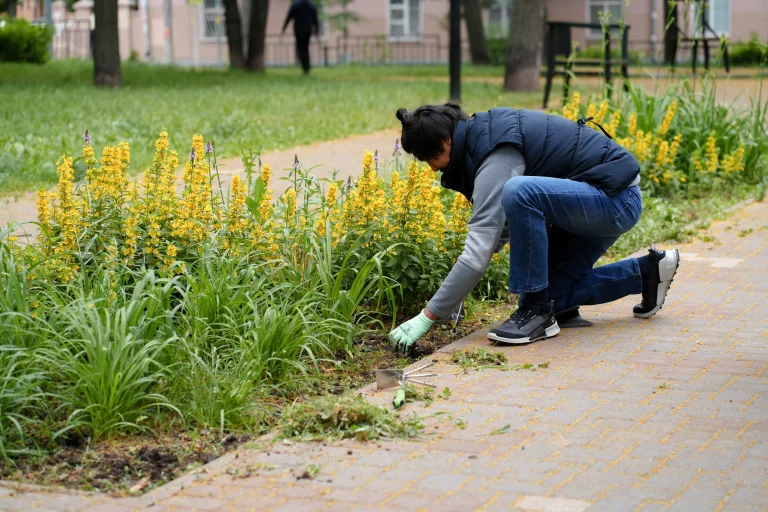 Школа городского садовника