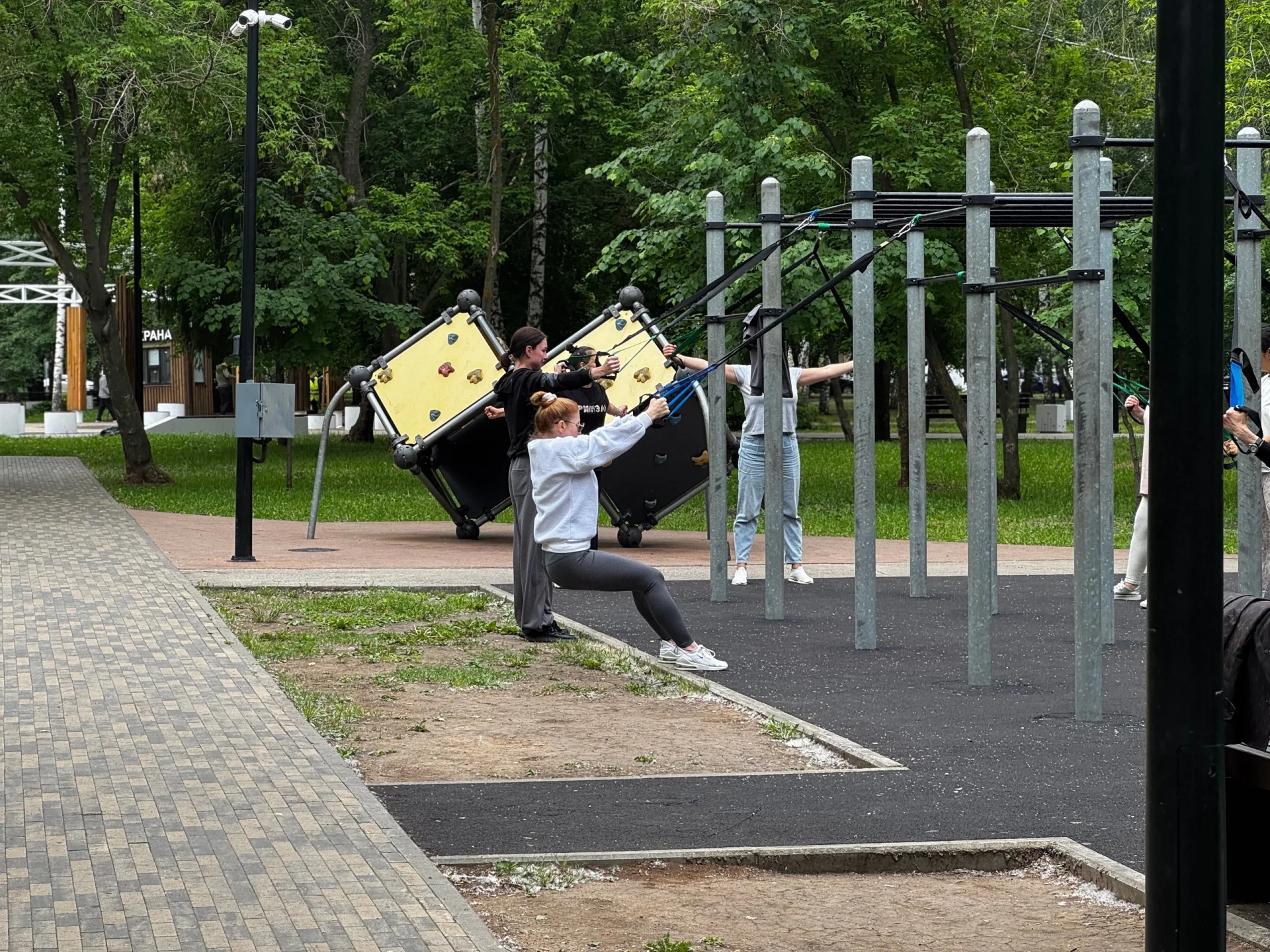 Тренировка на TRX петлях