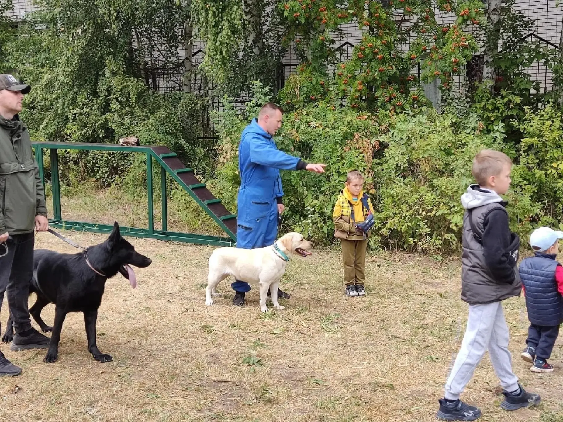 Интеракцияле мәгълүмат сәхифәсе «Кеше иткә дусчы»