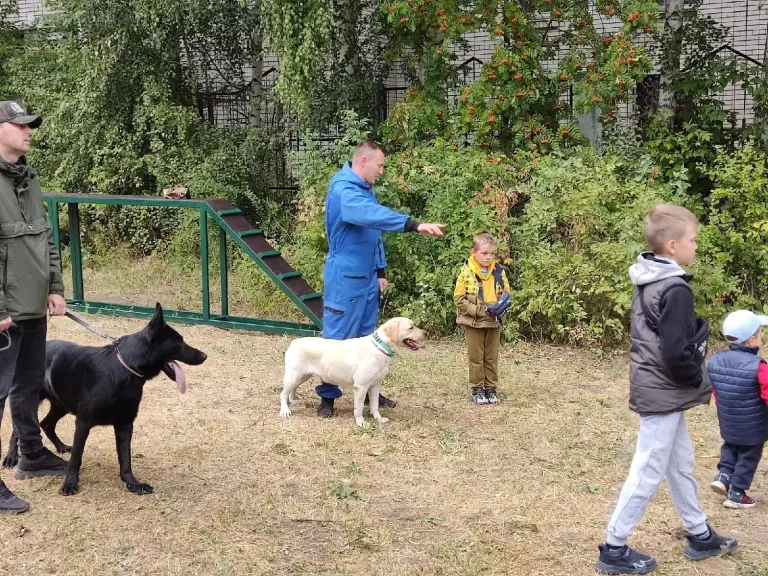 Интеракцияле мәгълүмат сәхифәсе «Кеше иткә дусчы»