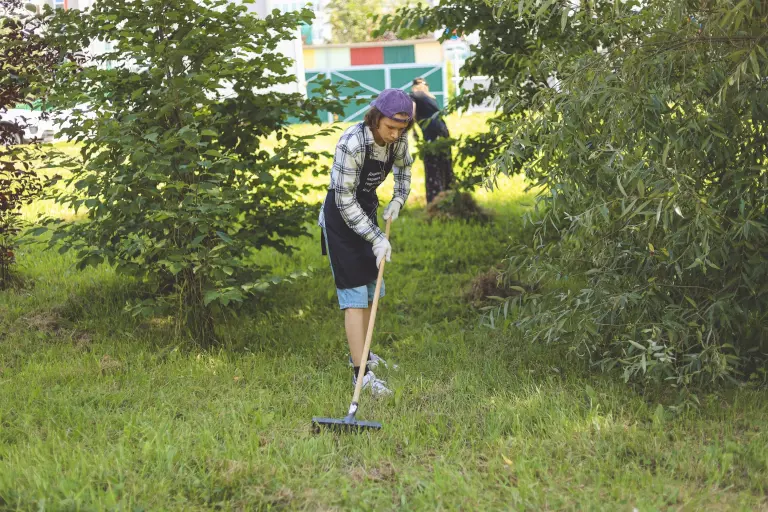 Любимый сад