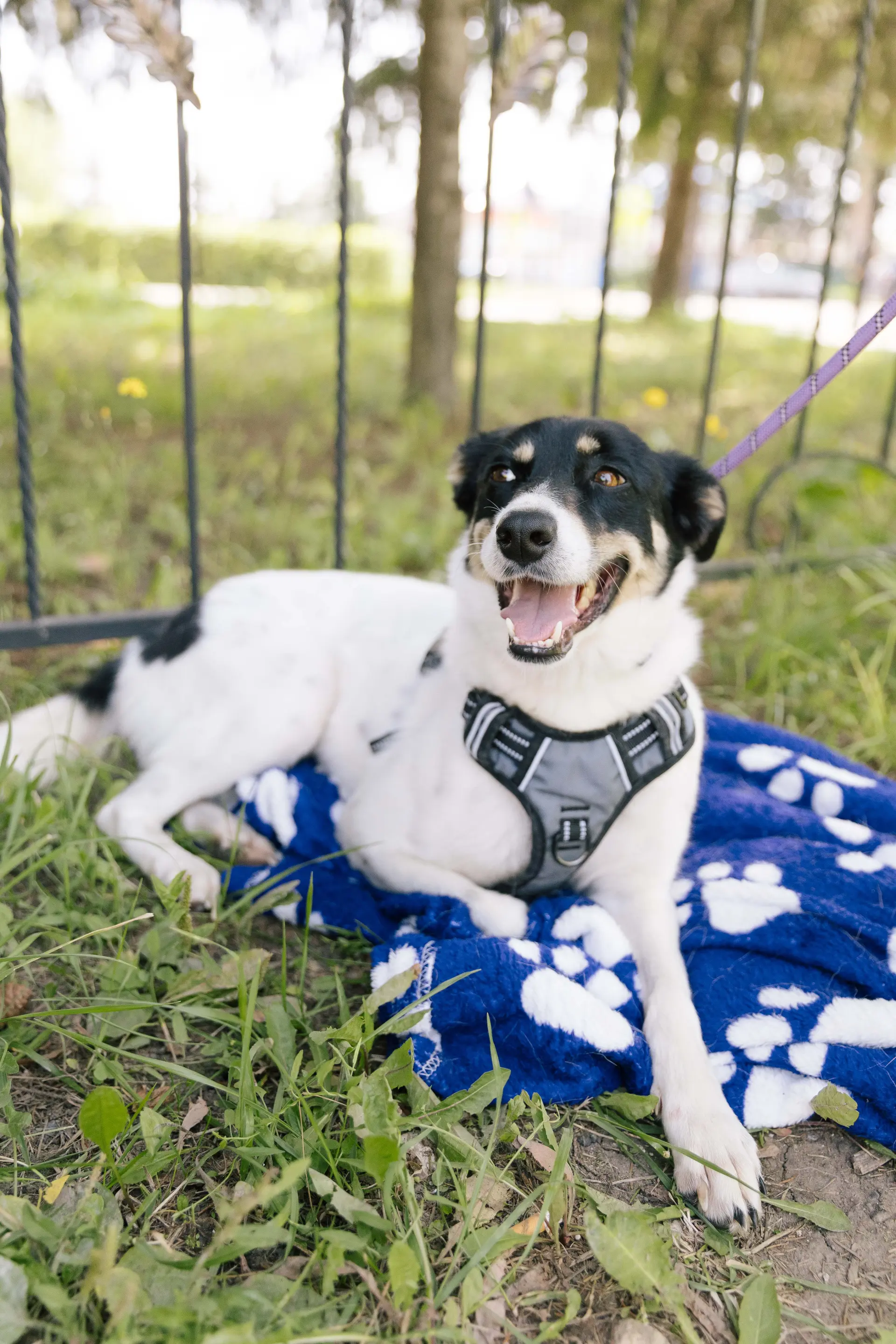IMG_0147-compressed.jpeg